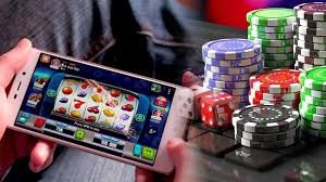 dragon bet